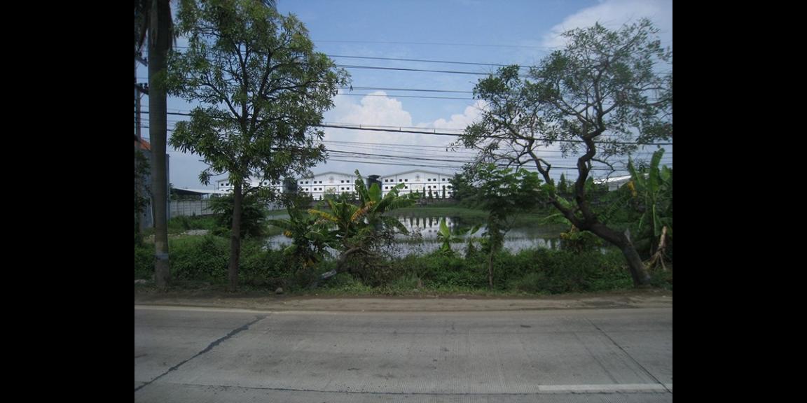 Tanah Komersial Rejosari, Lamongan | 0 Jalan Propinsi, Strategis. Tanah Komersial Rejosari, Lamongan | 0 Jalan Propinsi, Strategis.