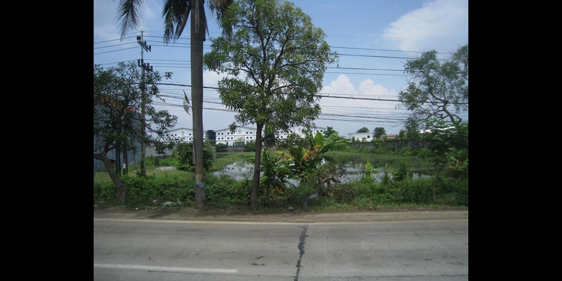 Tanah Komersial Rejosari, Lamongan | 0 Jalan Propinsi, Strategis. Tanah Komersial Rejosari, Lamongan | 0 Jalan Propinsi, Strategis.