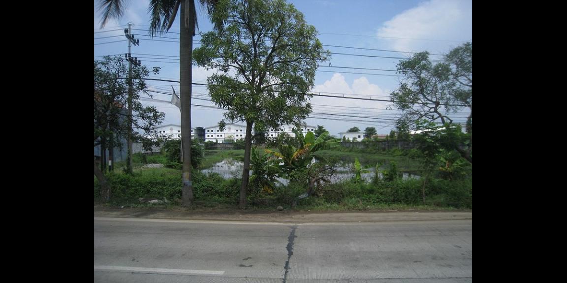 Tanah Komersial Rejosari, Lamongan | 0 Jalan Propinsi, Strategis. Tanah Komersial Rejosari, Lamongan | 0 Jalan Propinsi, Strategis.