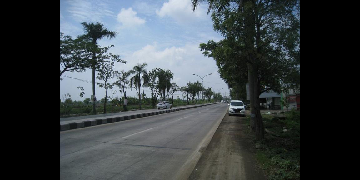 Tanah Komersial Rejosari, Lamongan | 0 Jalan Propinsi, Strategis. Tanah Komersial Rejosari, Lamongan | 0 Jalan Propinsi, Strategis.
