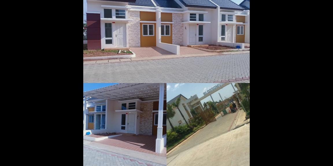 95% sold out tipe Ruby 45/75 95% sold out tipe Ruby 45/75