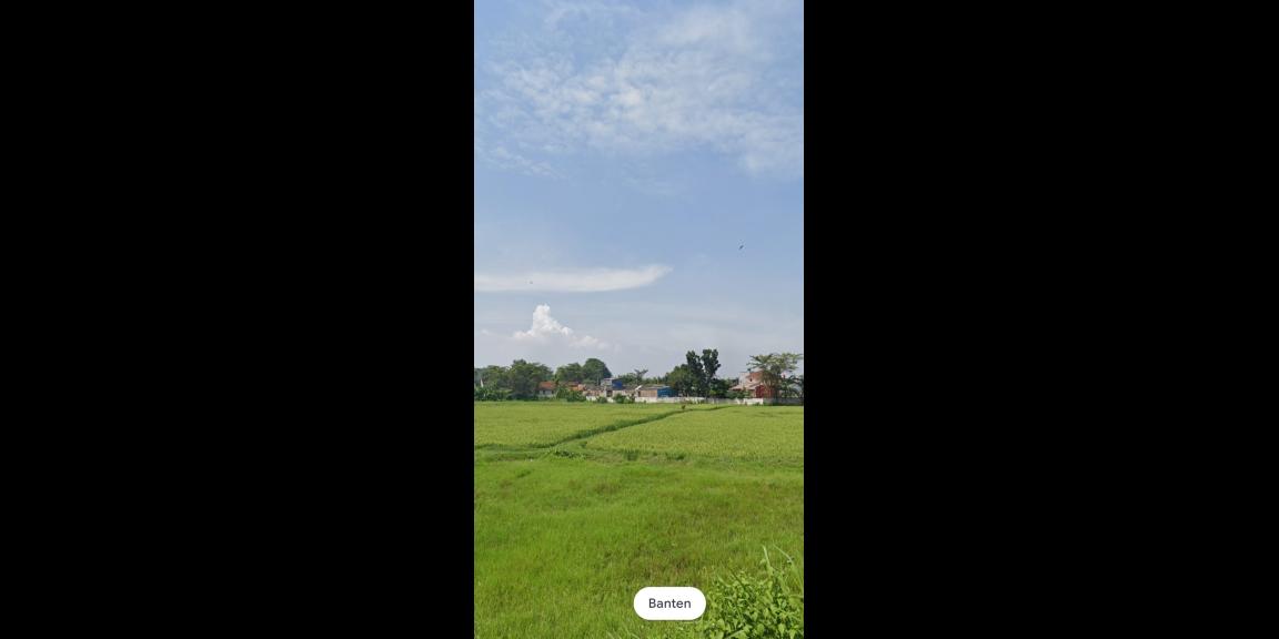 Dijual Tanah 2 Ha Curug Tangerang Banten Dijual Tanah 2 Ha Curug Tangerang Banten