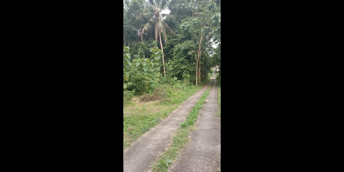 Dijual rumah di lokasi yg masih sejuk hijau & asri Griya Pambayun Sedayu Dijual rumah di lokasi yg masih sejuk hijau & asri Griya Pambayun Sedayu