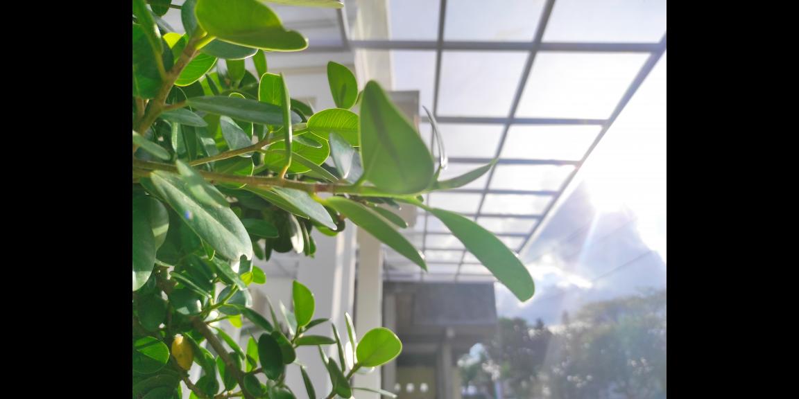 PERUMAHAN ASRI MINIMALIS PURI PERMATA HIJAU RANDUDONGKAL PERUMAHAN ASRI MINIMALIS PURI PERMATA HIJAU RANDUDONGKAL