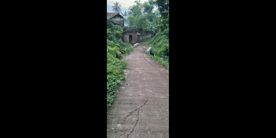 Di jual tanah sawah Kp.bayubud Ciwalen Di jual tanah sawah Kp.bayubud Ciwalen