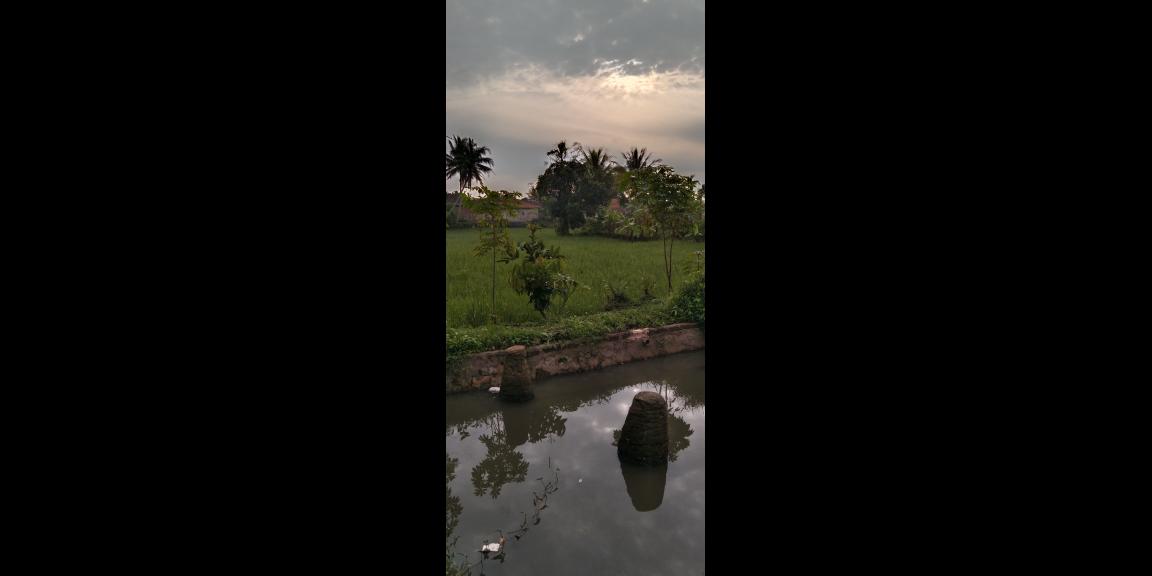 Di jual tanah sawah Kp.bayubud Ciwalen Di jual tanah sawah Kp.bayubud Ciwalen