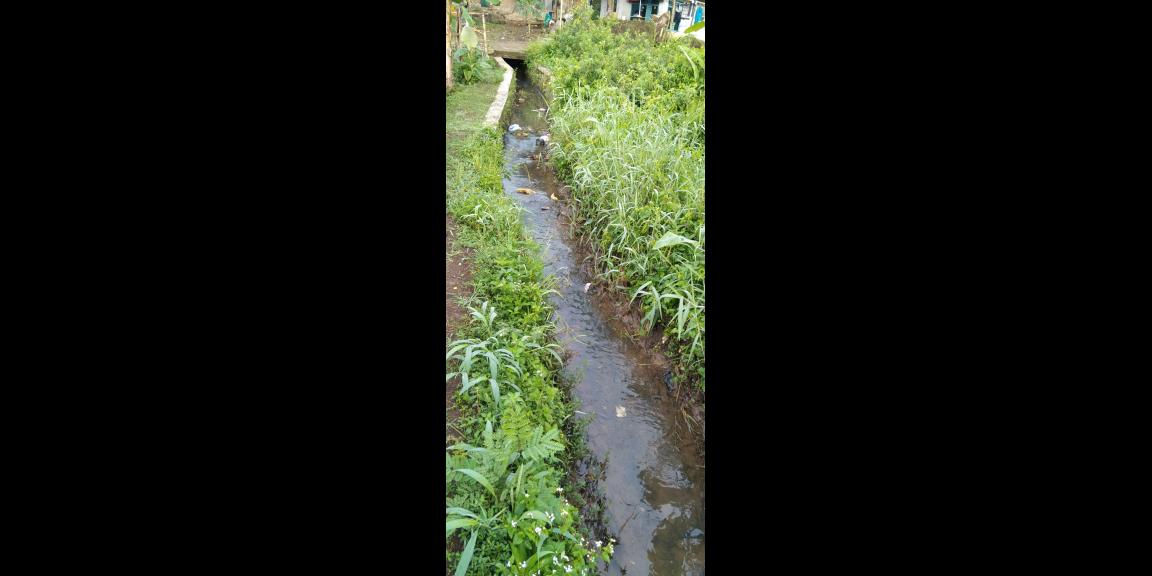 Di jual tanah sawah Kp.bayubud Ciwalen Di jual tanah sawah Kp.bayubud Ciwalen