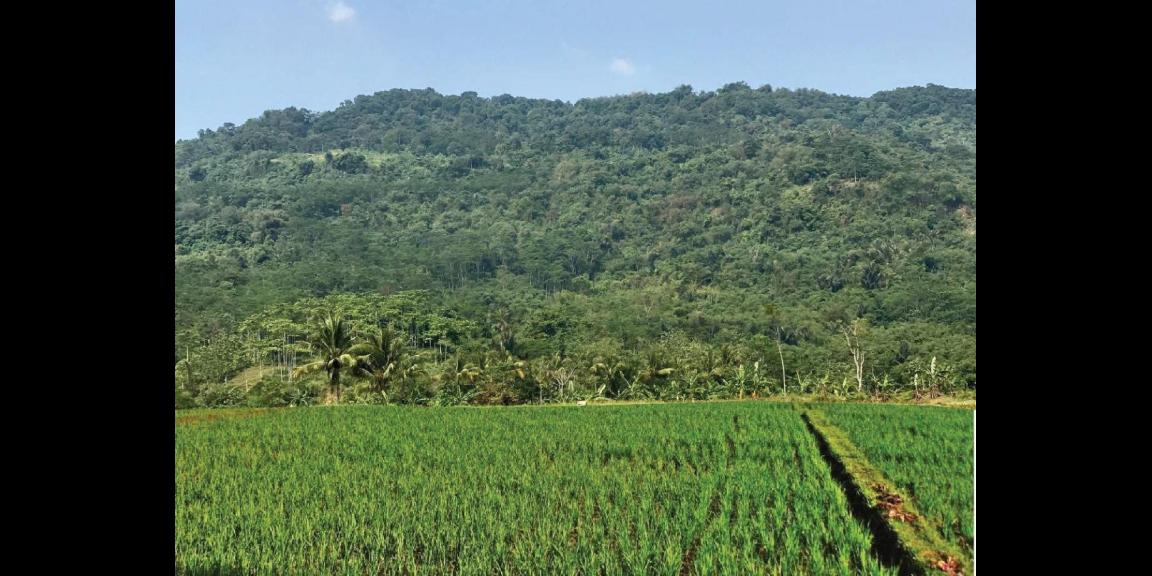 Jual kavling harmoni farmville Jual kavling harmoni farmville