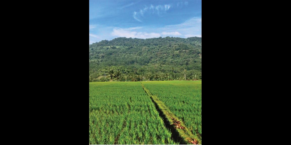 Jual kavling harmoni farmville Jual kavling harmoni farmville