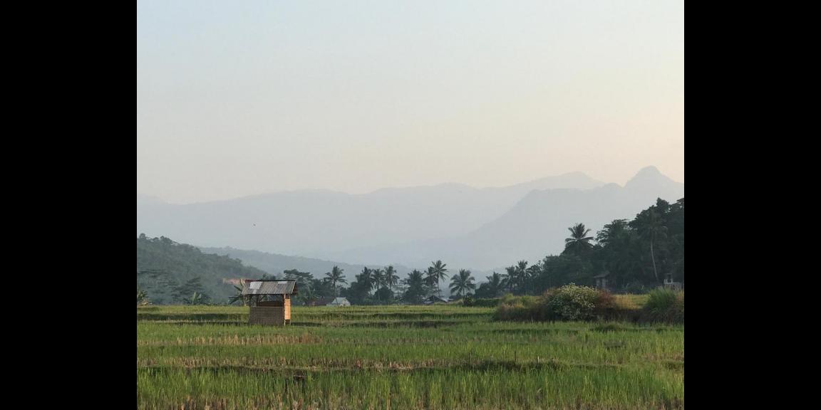 Jual kavling harmoni farmville Jual kavling harmoni farmville