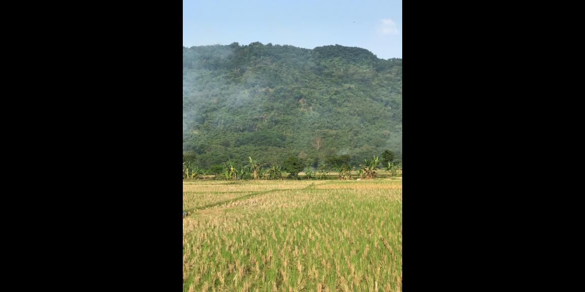 Jual kavling harmoni farmville Jual kavling harmoni farmville