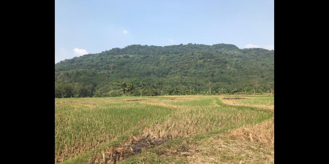 Jual kavling harmoni farmville Jual kavling harmoni farmville