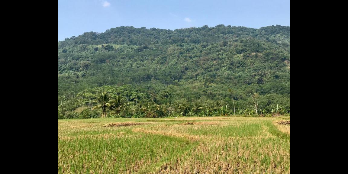 Jual kavling harmoni farmville Jual kavling harmoni farmville