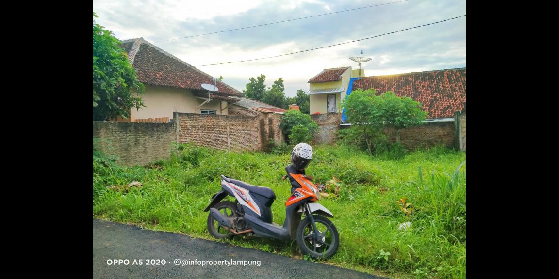 Tanah Murah di Kedaton Bandar Lampung Tanah Murah di Kedaton Bandar Lampung