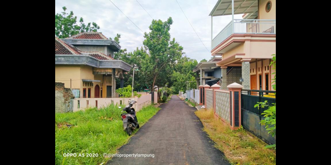 Tanah Murah di Kedaton Bandar Lampung Tanah Murah di Kedaton Bandar Lampung