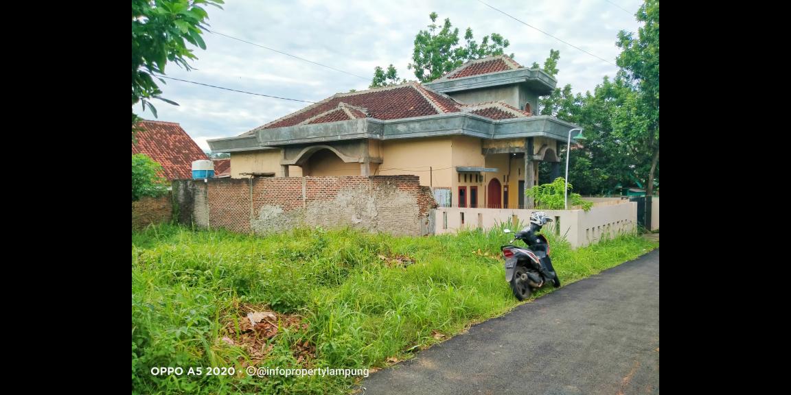 Tanah Murah di Kedaton Bandar Lampung Tanah Murah di Kedaton Bandar Lampung