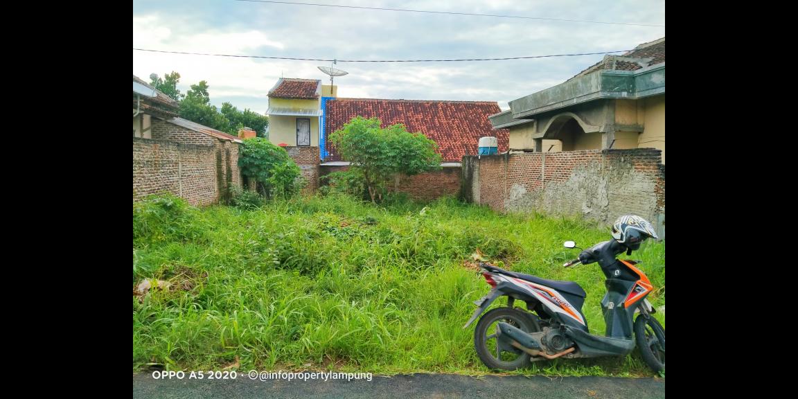 Tanah Murah di Kedaton Bandar Lampung Tanah Murah di Kedaton Bandar Lampung