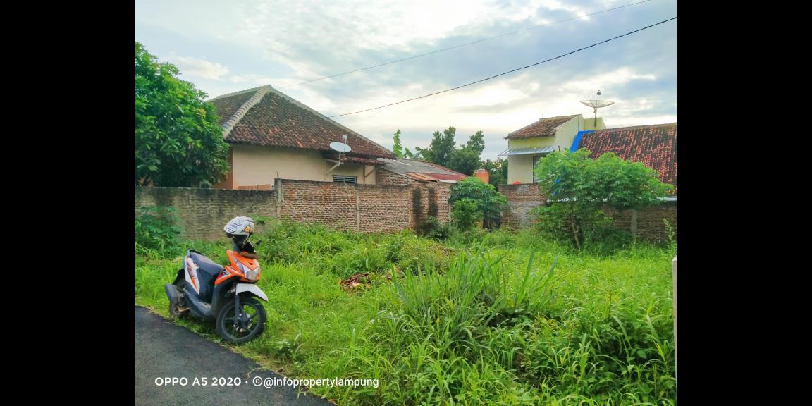 Tanah Murah di Kedaton Bandar Lampung Tanah Murah di Kedaton Bandar Lampung