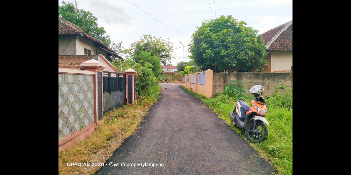Tanah Murah di Kedaton Bandar Lampung Tanah Murah di Kedaton Bandar Lampung