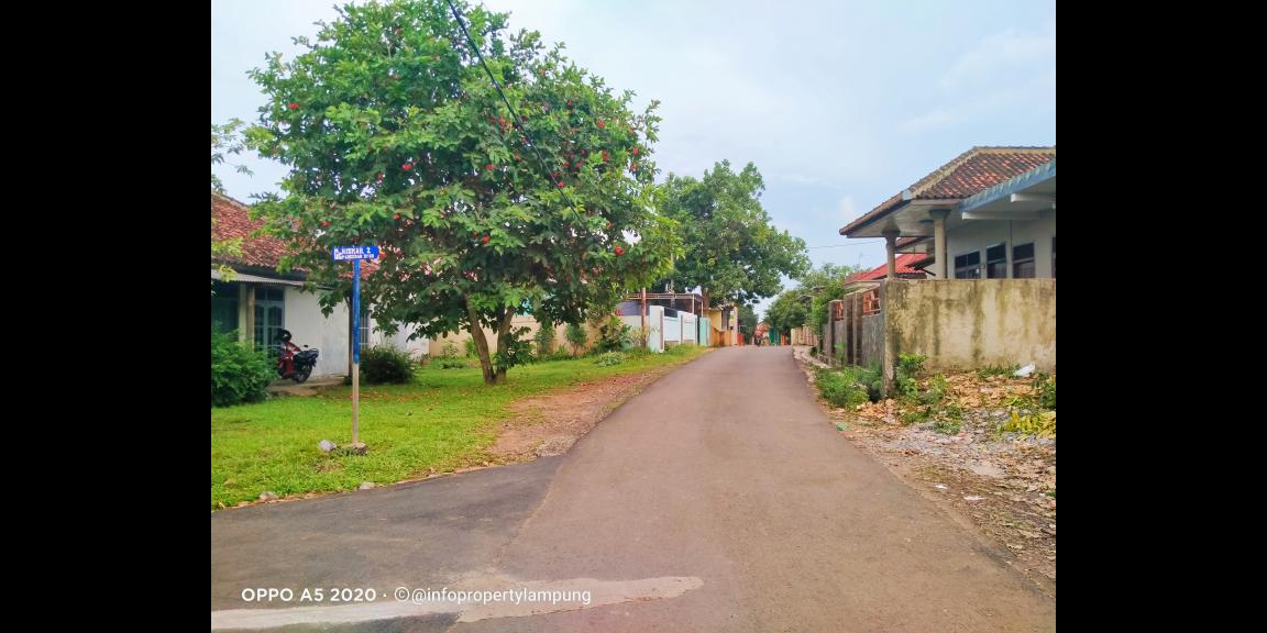 Tanah Murah di Kedaton Bandar Lampung Tanah Murah di Kedaton Bandar Lampung