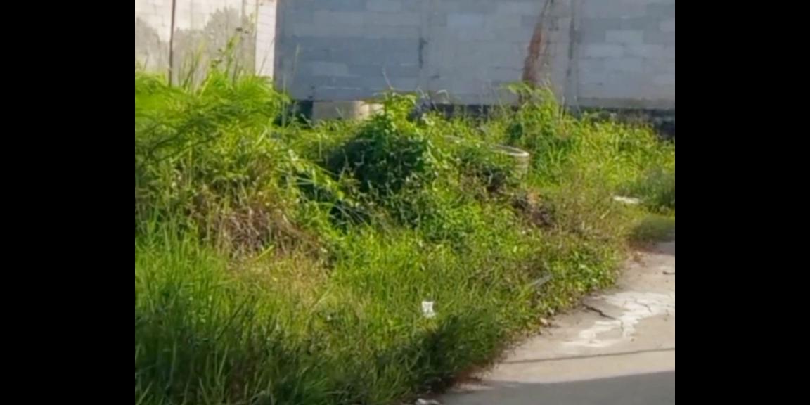 Tanah kavling Ciomas dekat stasiun Bogor Kota Tanah kavling Ciomas dekat stasiun Bogor Kota