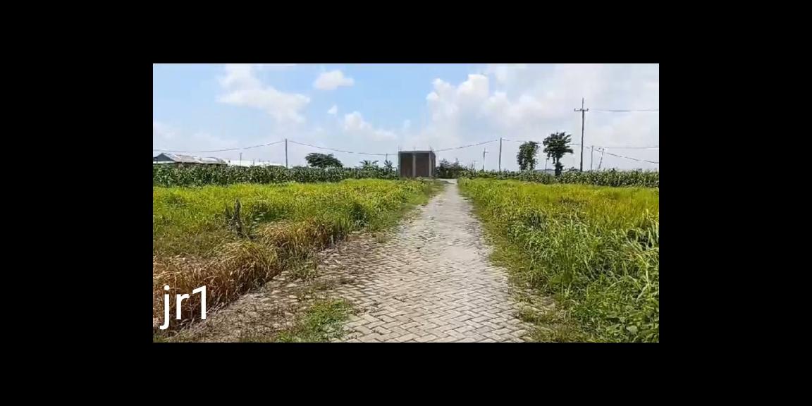 Tanah kavling siap bangun Jerambah Kedamean Gresik Tanah kavling siap bangun Jerambah Kedamean Gresik