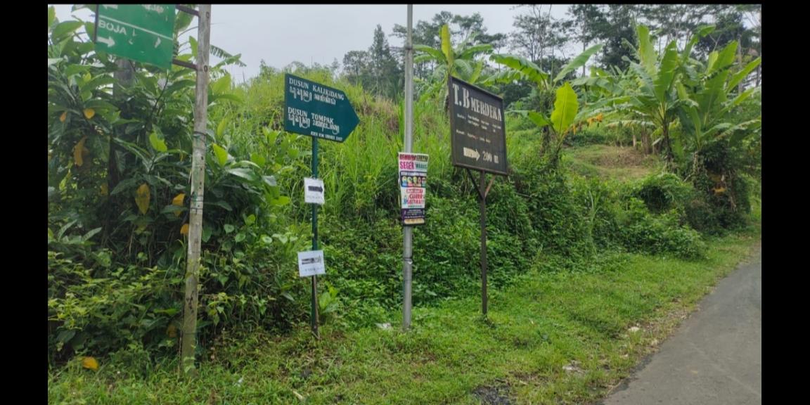 Dijual Tanah pinggir jalan aspal (sertifikat hijau) area Kendal Dijual Tanah pinggir jalan aspal (sertifikat hijau) area Kendal