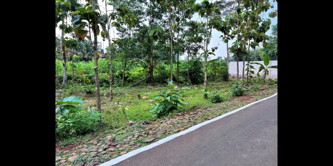 Tanah Murah 55 Juta Karanganyar Tanah Murah 55 Juta Karanganyar