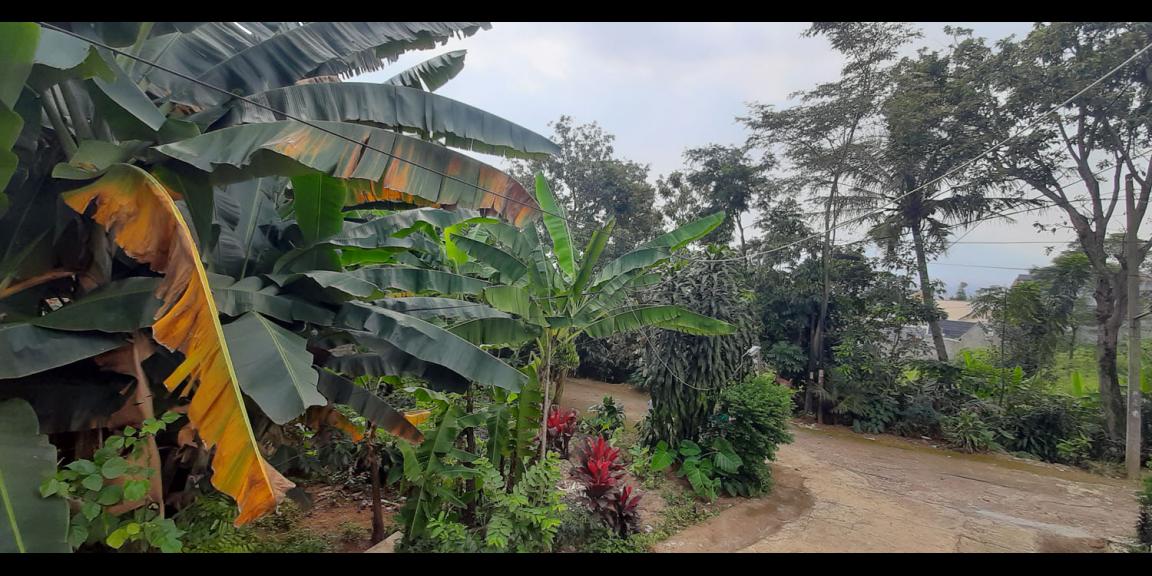 RUMAH CANTIK DI JATIHANDAP BANDUNG RUMAH CANTIK DI JATIHANDAP BANDUNG