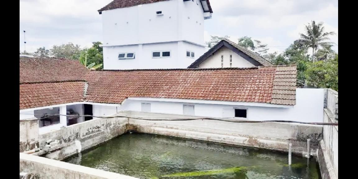 Jual Rumah Plus Usaha Burung Walet dan Budidaya Ikan di Gandusari Blitar Dekat Candi Kotes, Pasar Tugu Jual Rumah Plus Usaha Burung Walet dan Budidaya Ikan di Gandusari Blitar Dekat Candi Kotes, Pasar Tugu