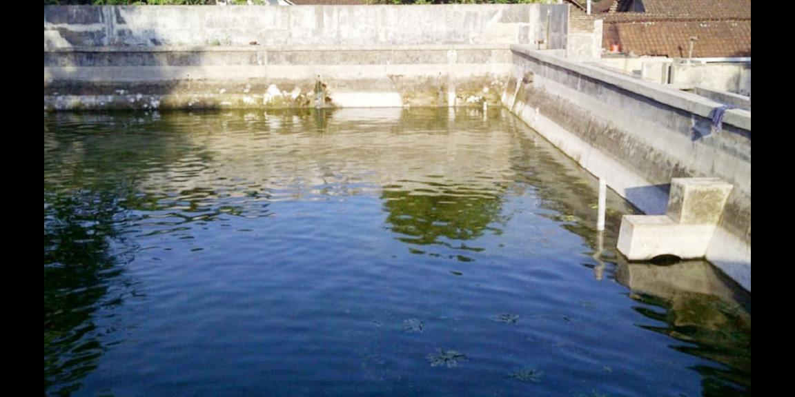 Jual Rumah Plus Usaha Burung Walet dan Budidaya Ikan di Gandusari Blitar Dekat Candi Kotes, Pasar Tugu Jual Rumah Plus Usaha Burung Walet dan Budidaya Ikan di Gandusari Blitar Dekat Candi Kotes, Pasar Tugu