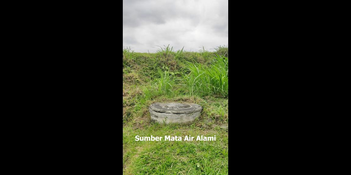 Jual Rumah Plus Usaha Burung Walet dan Budidaya Ikan di Gandusari Blitar Dekat Candi Kotes, Pasar Tugu Jual Rumah Plus Usaha Burung Walet dan Budidaya Ikan di Gandusari Blitar Dekat Candi Kotes, Pasar Tugu