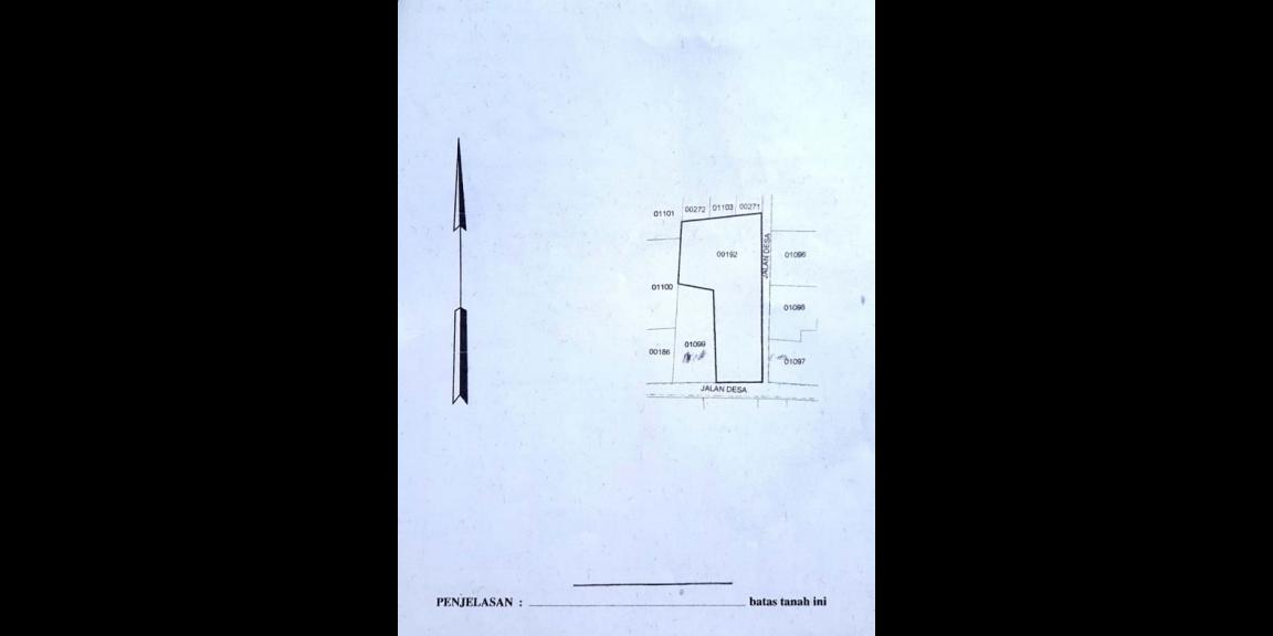 Jual Rumah Plus Usaha Burung Walet dan Budidaya Ikan di Gandusari Blitar Dekat Candi Kotes, Pasar Tugu Jual Rumah Plus Usaha Burung Walet dan Budidaya Ikan di Gandusari Blitar Dekat Candi Kotes, Pasar Tugu
