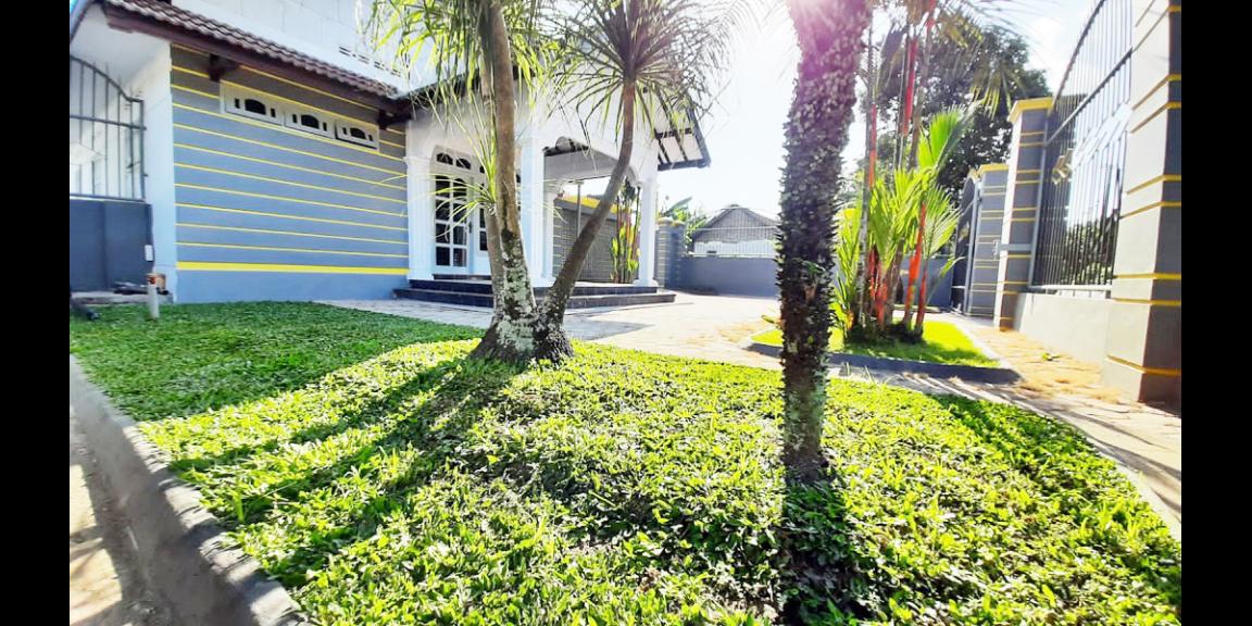 Jual Rumah Plus Usaha Burung Walet dan Budidaya Ikan di Gandusari Blitar Dekat Candi Kotes, Pasar Tugu Jual Rumah Plus Usaha Burung Walet dan Budidaya Ikan di Gandusari Blitar Dekat Candi Kotes, Pasar Tugu