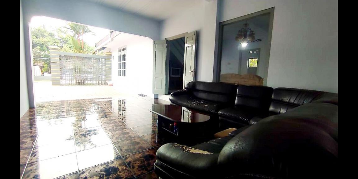 Jual Rumah Plus Usaha Burung Walet dan Budidaya Ikan di Gandusari Blitar Dekat Candi Kotes, Pasar Tugu Jual Rumah Plus Usaha Burung Walet dan Budidaya Ikan di Gandusari Blitar Dekat Candi Kotes, Pasar Tugu