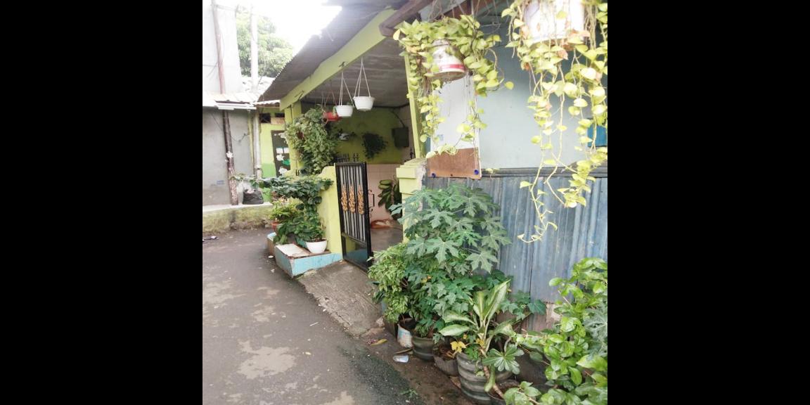 Jual Rumah Dibelakang KFC Duren Sawit, Dekat SMAN 50, Stasiun Jatinegara dan Mall Bassura Jual Rumah Dibelakang KFC Duren Sawit, Dekat SMAN 50, Stasiun Jatinegara dan Mall Bassura