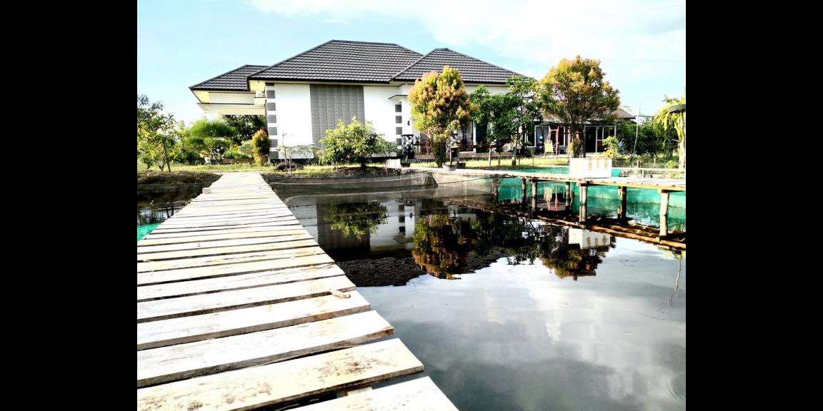 Jual Rumah di Kota Palangka Raya Dekat Universitas Palangka Raya dan Dekat RSUD Dr. Doris Silvanus Jual Rumah di Kota Palangka Raya Dekat Universitas Palangka Raya dan Dekat RSUD Dr. Doris Silvanus