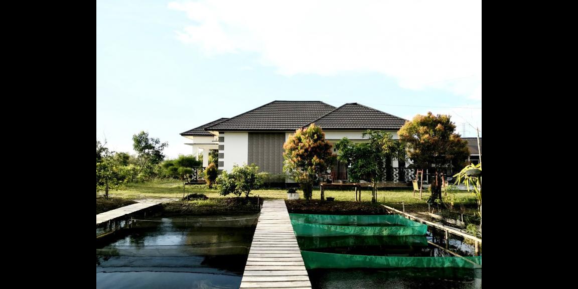 Jual Rumah di Kota Palangka Raya Dekat Universitas Palangka Raya dan Dekat RSUD Dr. Doris Silvanus Jual Rumah di Kota Palangka Raya Dekat Universitas Palangka Raya dan Dekat RSUD Dr. Doris Silvanus