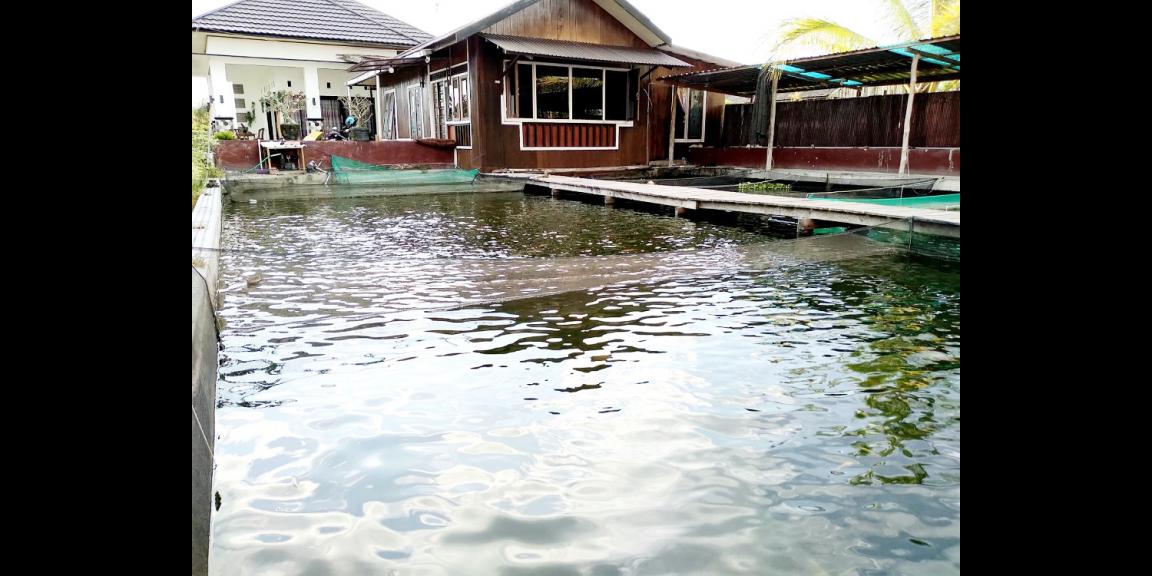 Jual Rumah di Kota Palangka Raya Dekat Universitas Palangka Raya dan Dekat RSUD Dr. Doris Silvanus Jual Rumah di Kota Palangka Raya Dekat Universitas Palangka Raya dan Dekat RSUD Dr. Doris Silvanus