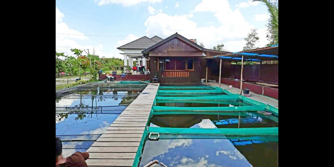 Jual Rumah di Kota Palangka Raya Dekat Universitas Palangka Raya dan Dekat RSUD Dr. Doris Silvanus Jual Rumah di Kota Palangka Raya Dekat Universitas Palangka Raya dan Dekat RSUD Dr. Doris Silvanus