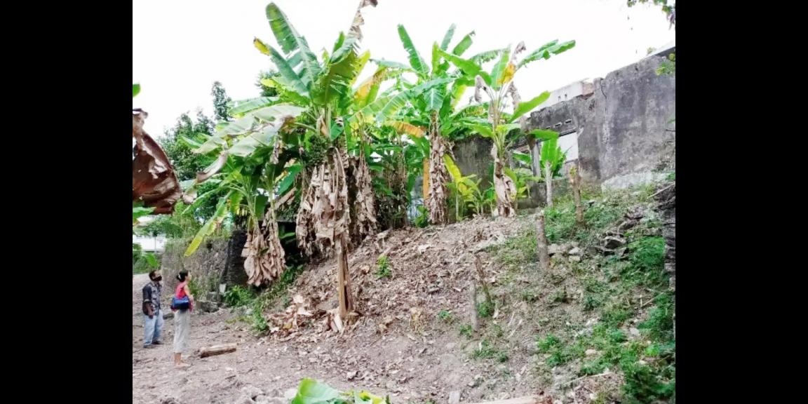 Jual Tanah di Bantul Yogyakarta Dekat Pabrik Gula Madukismo, Padepokan Seni PSBK, Kampus AMA Yogyakarta Jual Tanah di Bantul Yogyakarta Dekat Pabrik Gula Madukismo, Padepokan Seni PSBK, Kampus AMA Yogyakarta