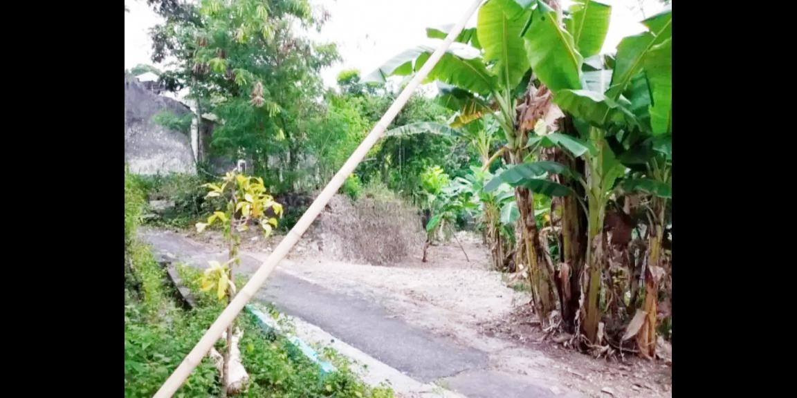 Jual Tanah di Bantul Yogyakarta Dekat Pabrik Gula Madukismo, Padepokan Seni PSBK, Kampus AMA Yogyakarta Jual Tanah di Bantul Yogyakarta Dekat Pabrik Gula Madukismo, Padepokan Seni PSBK, Kampus AMA Yogyakarta
