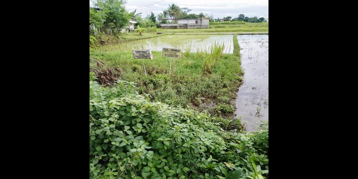 Jual Tanah di Bantul Yogyakarta Dekat RS Rachma Husada, Desa Wisata Potrobayan, Taman Opak Zoo Jual Tanah di Bantul Yogyakarta Dekat RS Rachma Husada, Desa Wisata Potrobayan, Taman Opak Zoo