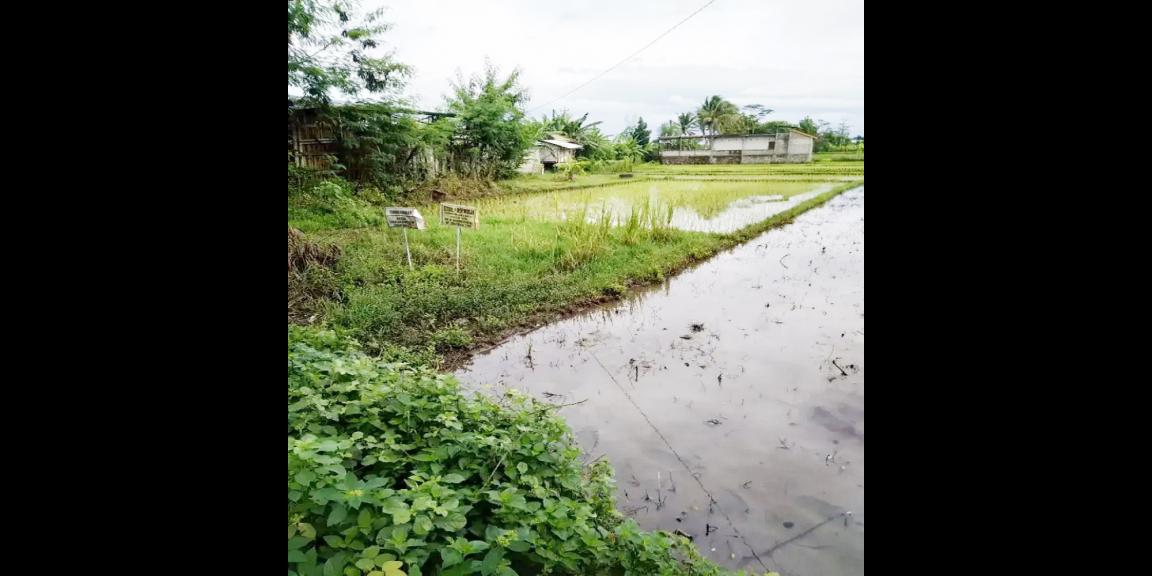 Jual Tanah di Bantul Yogyakarta Dekat RS Rachma Husada, Desa Wisata Potrobayan, Taman Opak Zoo Jual Tanah di Bantul Yogyakarta Dekat RS Rachma Husada, Desa Wisata Potrobayan, Taman Opak Zoo