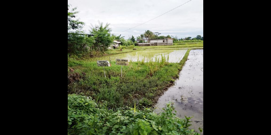 Jual Tanah di Bantul Yogyakarta Dekat RS Rachma Husada, Desa Wisata Potrobayan, Taman Opak Zoo Jual Tanah di Bantul Yogyakarta Dekat RS Rachma Husada, Desa Wisata Potrobayan, Taman Opak Zoo