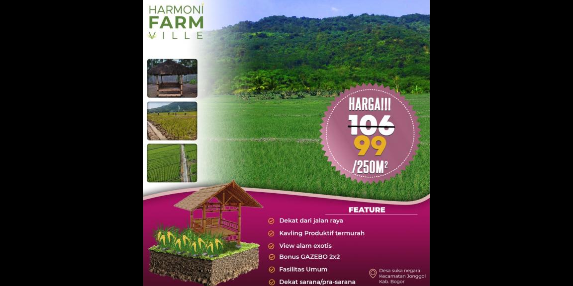 Jual Tanah Kavling Sawah Produktif View Pegunungan 250 m2 Hanya 99jt di Jonggol Bogor Jual Tanah Kavling Sawah Produktif View Pegunungan 250 m2 Hanya 99jt di Jonggol Bogor