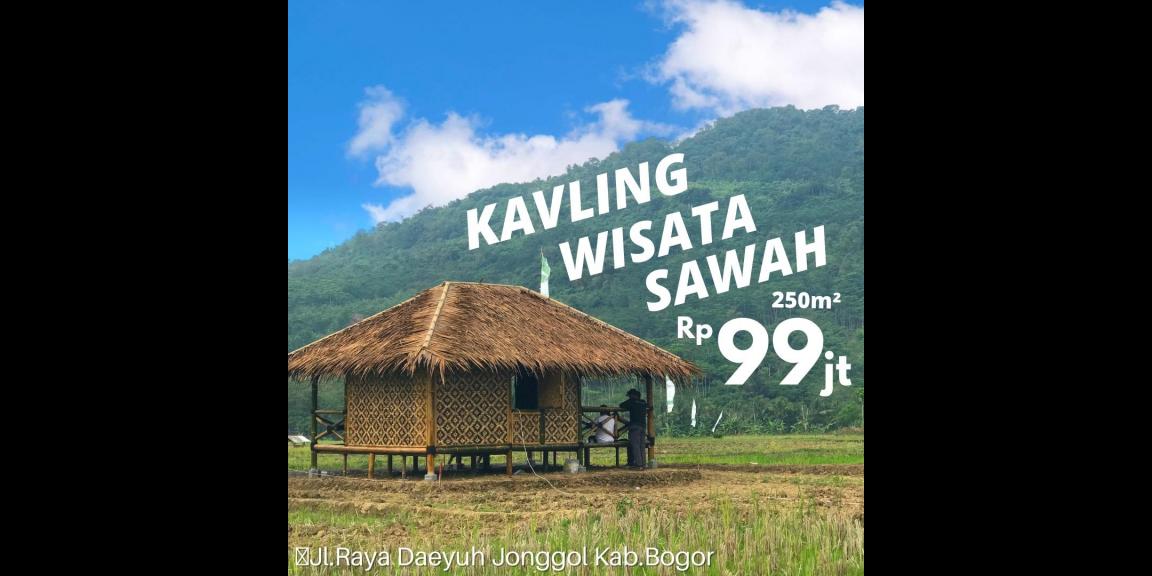 Jual Tanah Kavling Sawah Produktif View Pegunungan 250 m2 Hanya 99jt di Jonggol Bogor Jual Tanah Kavling Sawah Produktif View Pegunungan 250 m2 Hanya 99jt di Jonggol Bogor