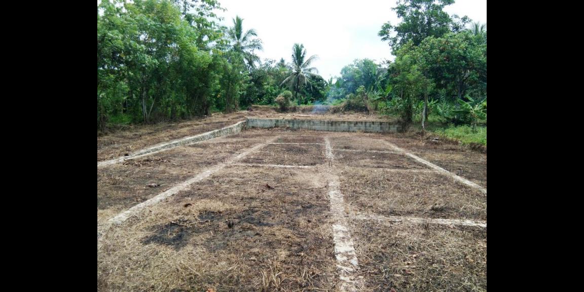 Jual Tanah Murah di Tenjo Bogor Dekat Kantor Desa Bojong dan Puskesmas Pasar Rebo Tenjo Bogor Jual Tanah Murah di Tenjo Bogor Dekat Kantor Desa Bojong dan Puskesmas Pasar Rebo Tenjo Bogor