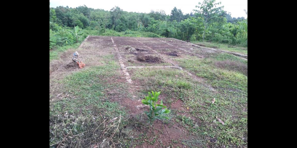 Jual Tanah Murah di Tenjo Bogor Dekat Kantor Desa Bojong dan Puskesmas Pasar Rebo Tenjo Bogor Jual Tanah Murah di Tenjo Bogor Dekat Kantor Desa Bojong dan Puskesmas Pasar Rebo Tenjo Bogor