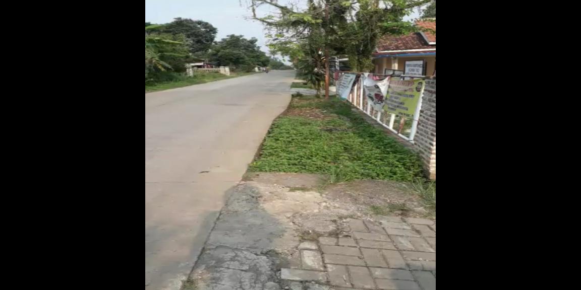 Jual Tanah Murah di Tenjo Bogor Dekat Kantor Desa Bojong dan Puskesmas Pasar Rebo Tenjo Bogor Jual Tanah Murah di Tenjo Bogor Dekat Kantor Desa Bojong dan Puskesmas Pasar Rebo Tenjo Bogor